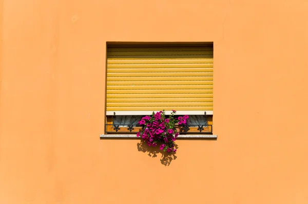 オレンジ色の壁で囲まれているウィンドウ — ストック写真