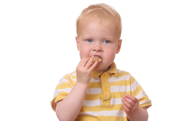 Niño comiendo galletas — Foto de Stock