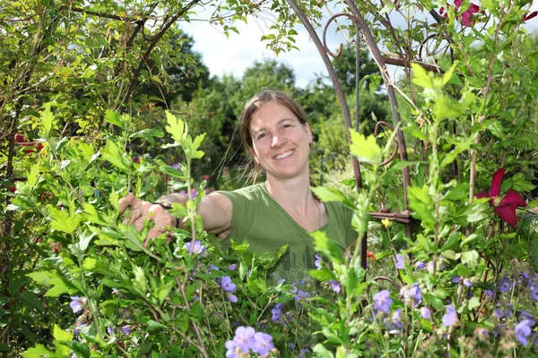 Mujer jardinera —  Fotos de Stock