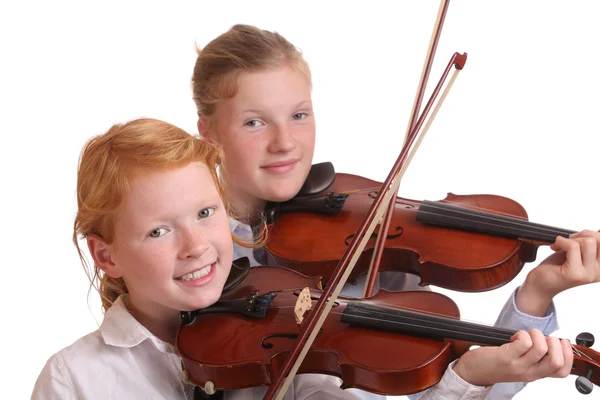 Violinistas — Fotografia de Stock