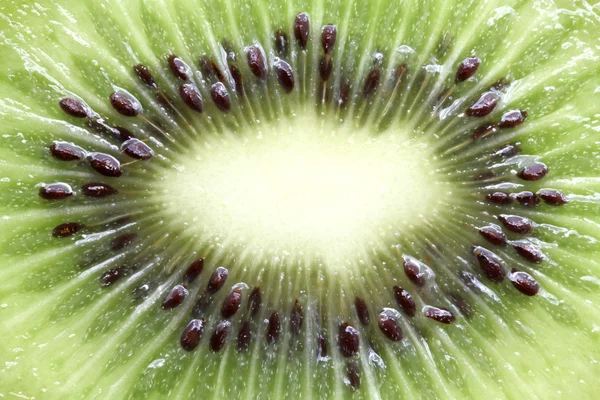 Fundo da fruta Kiwi — Fotografia de Stock