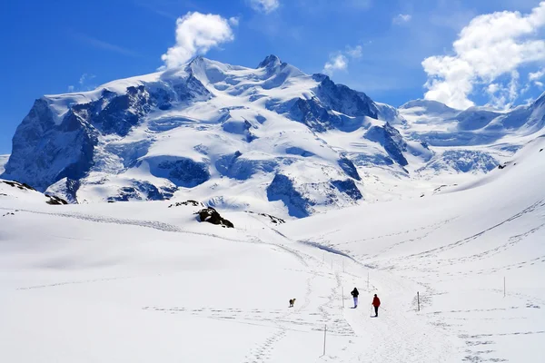 Yürüyüş yolu, matterhorn, İsviçreMatterhorn zirve mavi gökyüzü, İsviçre Alpleri üzerinde — Stok fotoğraf