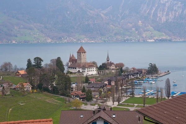 Jezioro thun w miejscowości spiez, Szwajcaria — Zdjęcie stockowe
