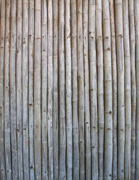 Fondo del panel de bambú — Foto de Stock