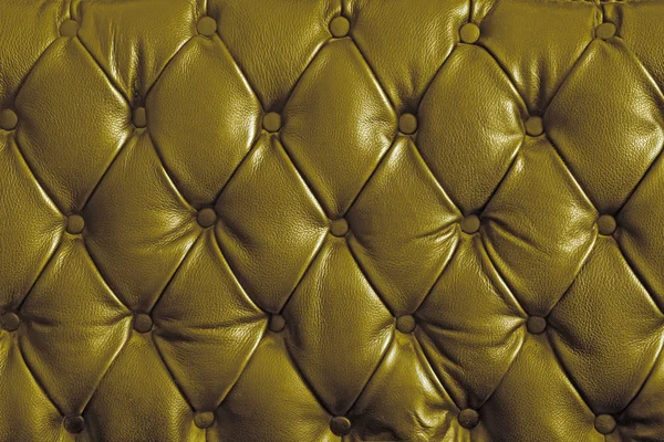 Ouro couro genuíno — Fotografia de Stock