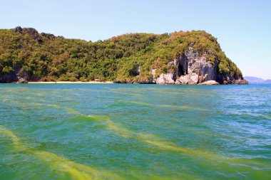 red tide deniz kirliliğine neden küresel ısınma