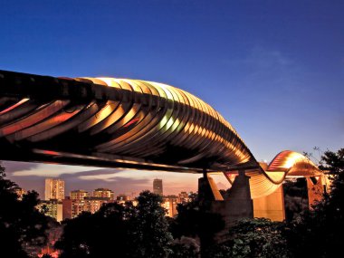 Singapore henderson wave bridge at dusk clipart