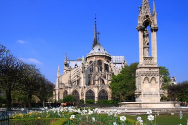 Katedral Madam Paris değil