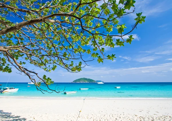 Beyaz kum tropikal plajı — Stok fotoğraf
