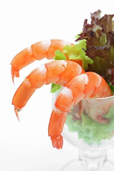 Shrimp cocktail salad — Stock Photo, Image