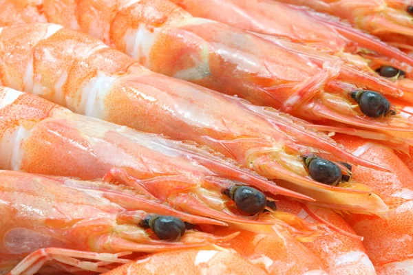 Shrimp cocktail background — Stock Photo, Image