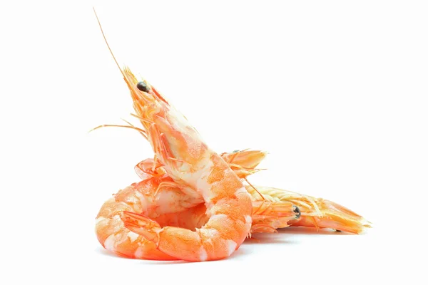 Boiled Shrimp — Stock Photo, Image