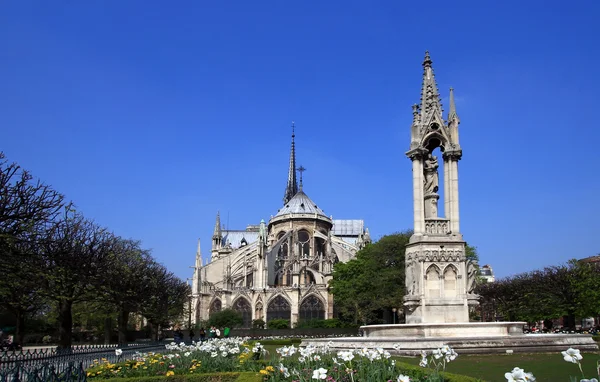 Cattedrale notre dame Parigi — Foto Stock