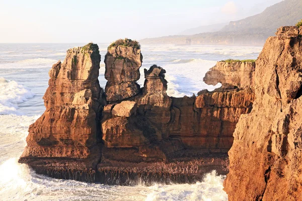 Yeni Zelanda'da pancake kaya — Stok fotoğraf
