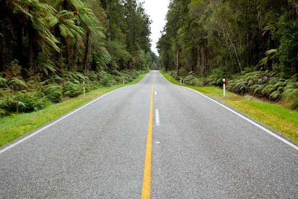 Empty road stretching out — Stock Photo, Image