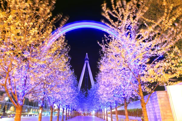 stock image Trees lead to the London Eye