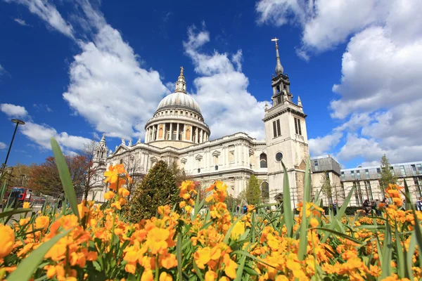 St. Paul Cathedral with Garden — Stock Photo, Image