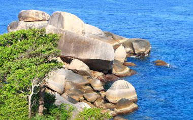 Rock Cape andaman beach