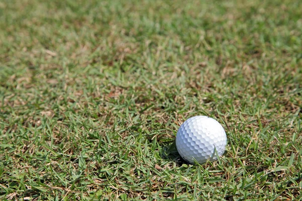 Перспективы зеленой травы мяча для гольфа — стоковое фото