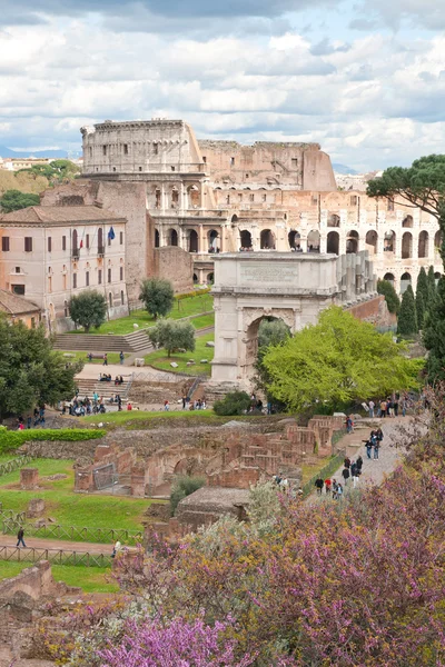 Colosseum from roman forum — Stock Photo, Image