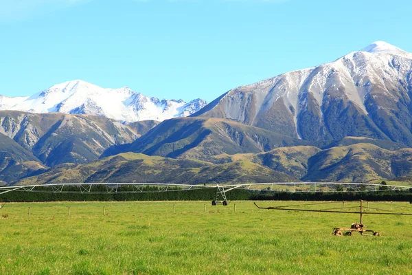Southern alps in New Zealand — Stock Photo, Image