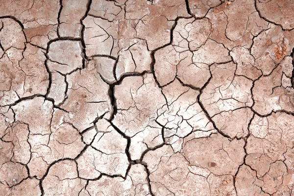 Dry Terrain — Stock Photo, Image