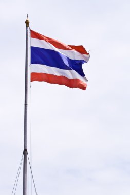 Tayland bayrağı