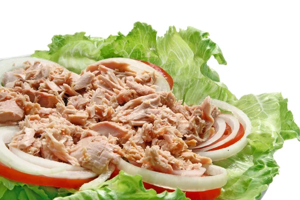 stock image Tuna salad