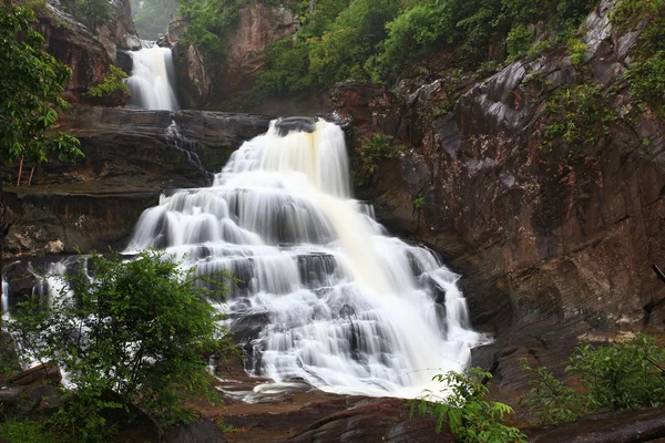 Lasów deszczowych wodospad — Zdjęcie stockowe