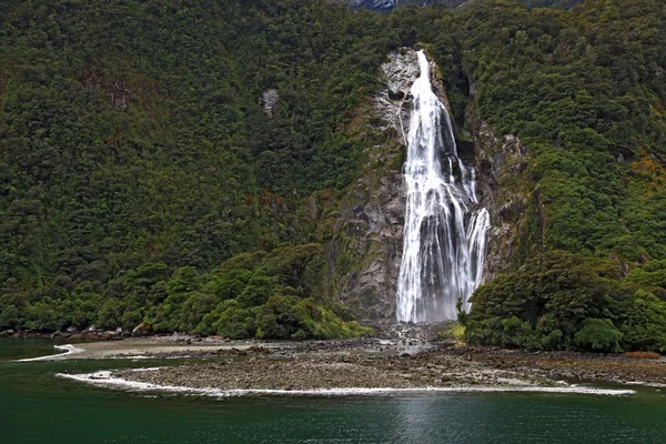 Regenwald-Wasserfall im Milford Sound — Stockfoto