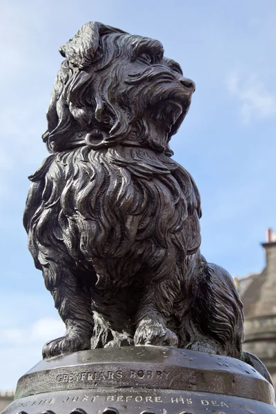Statua Bobby Edimburgo — Foto Stock