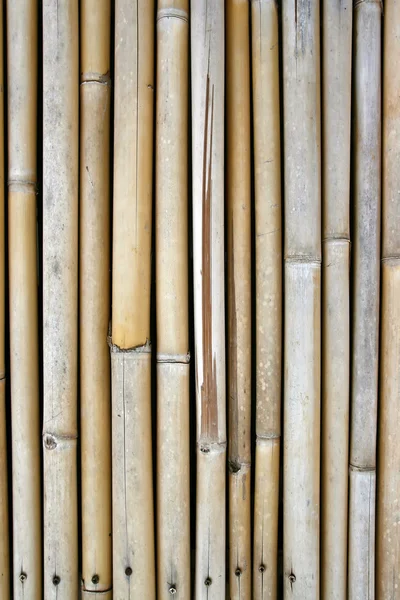 Bambusový panel — Stock fotografie