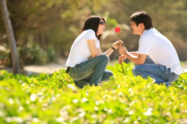 Привлекательный молодой мальчик дарит красивую розу своей милой девушке — стоковое фото