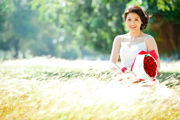 Retrato de novia en el campo de prados — Foto de Stock