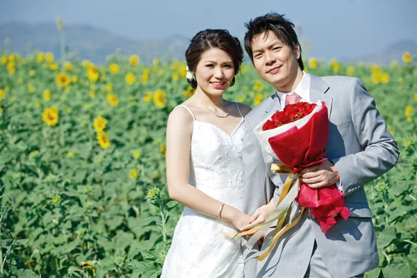 Portret van de bruid en bruidegom op zonnebloem veld — Stockfoto