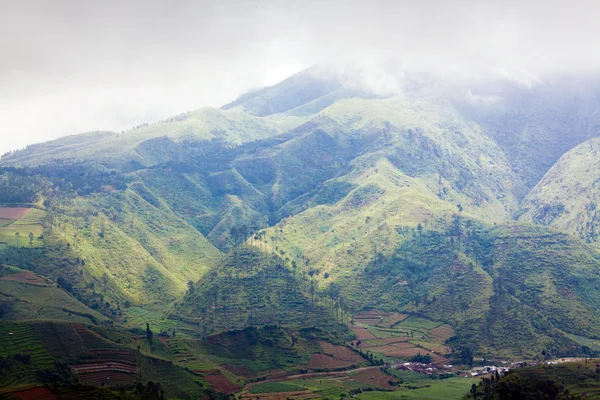 Dağlar Endonezya manzara — Stok fotoğraf