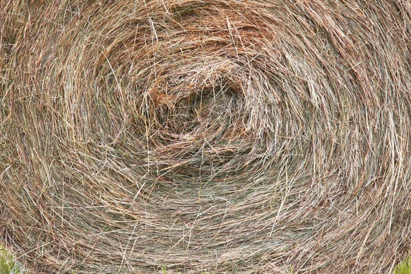 Textuur van droge ronde baal stro gras — Stockfoto
