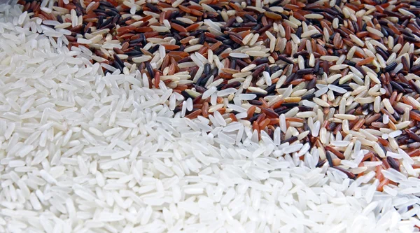 Тла рис — стокове фото