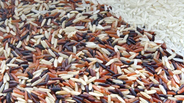쌀 배경 — 스톡 사진