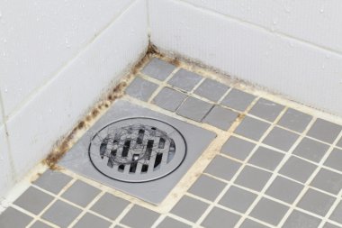 Mold in Bathroom clipart