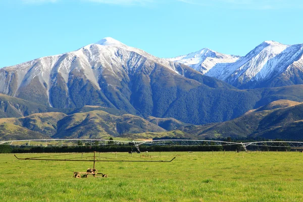 Zuidelijke Alpen in Nieuw-Zeeland — Stockfoto