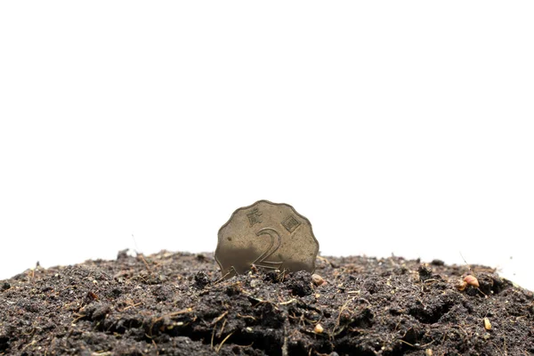 Money Planting — Stock Photo, Image
