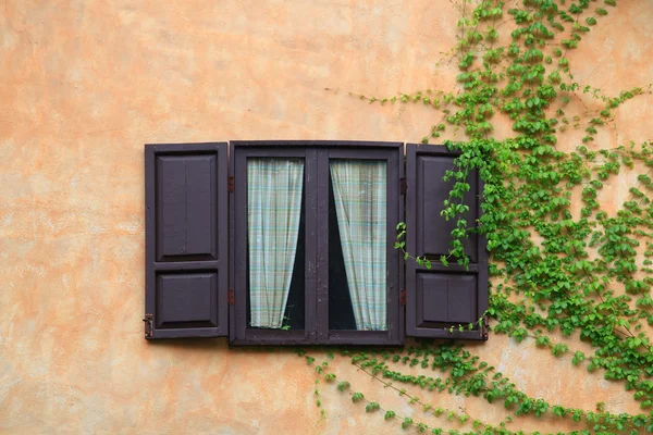 Открытые деревянные окна — стоковое фото
