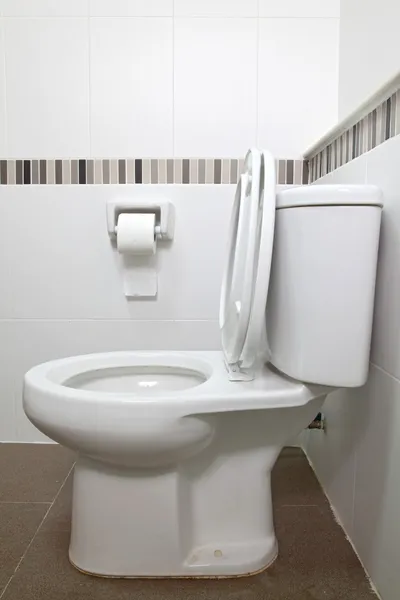 Toilet seat and tissue — Stock Photo, Image