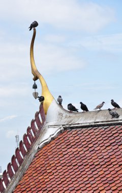 gable Kilisesi'nin doğum pegions