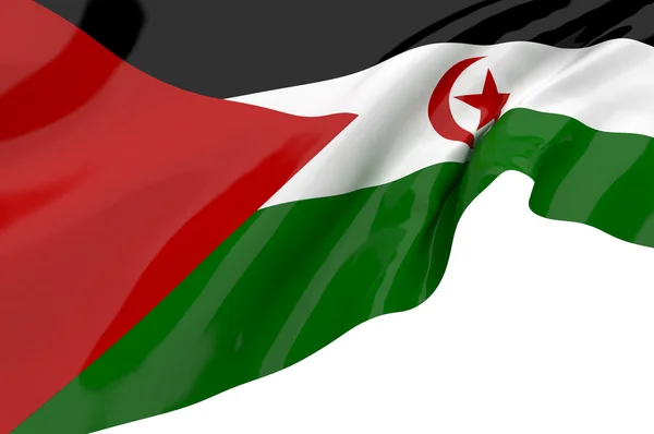 Vlaggen van de westelijke sahara — Stockfoto