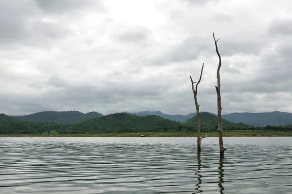 Sentirsi solitario ceppo nel lago — Foto Stock