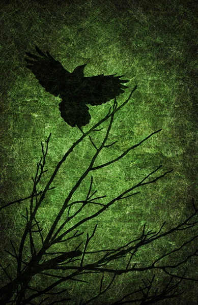 Grunge 纹理万圣节夜背景 — 图库照片