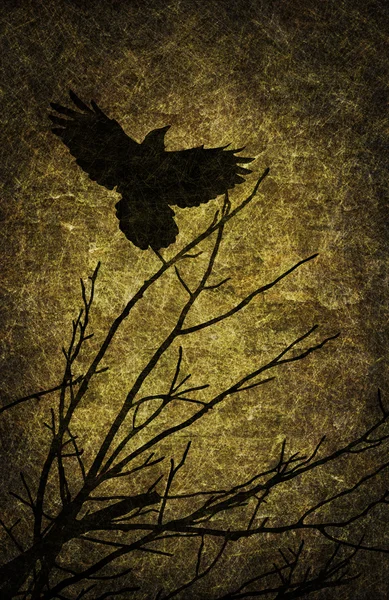 Grunge textured Halloween night background — Stock Photo, Image