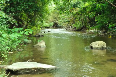 Creek for background clipart